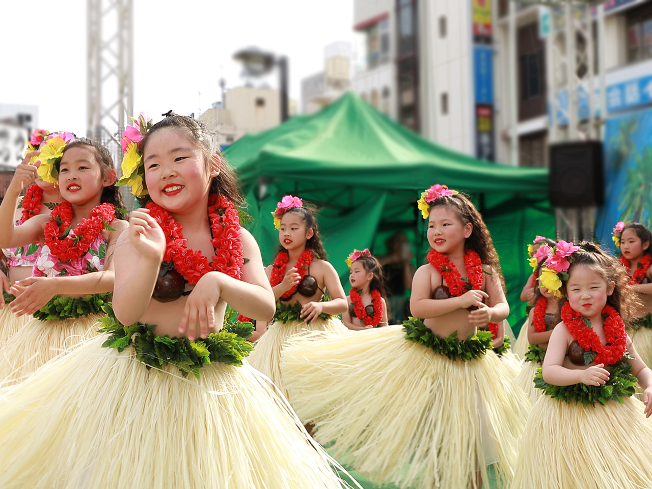 公式 ポーマイフラスタジオ フラダンス教室