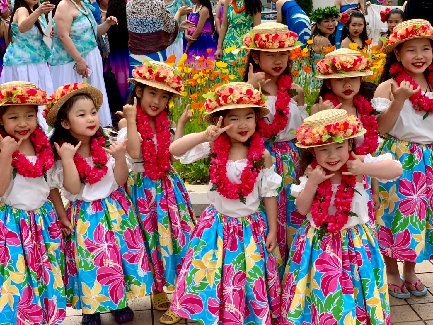 ケイキ☆フラダンス天国  写真