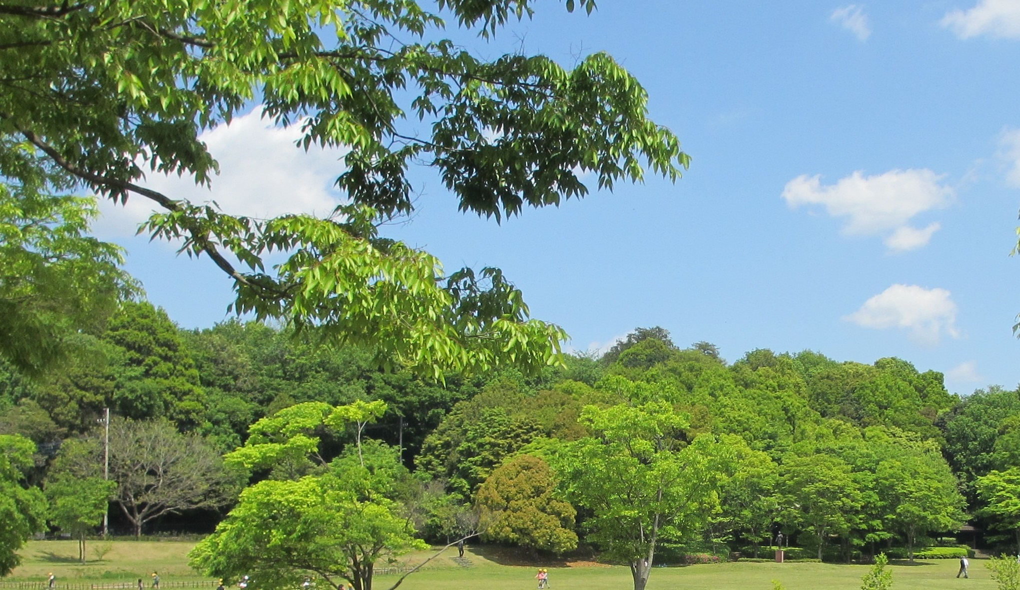 本年度のイベントについて