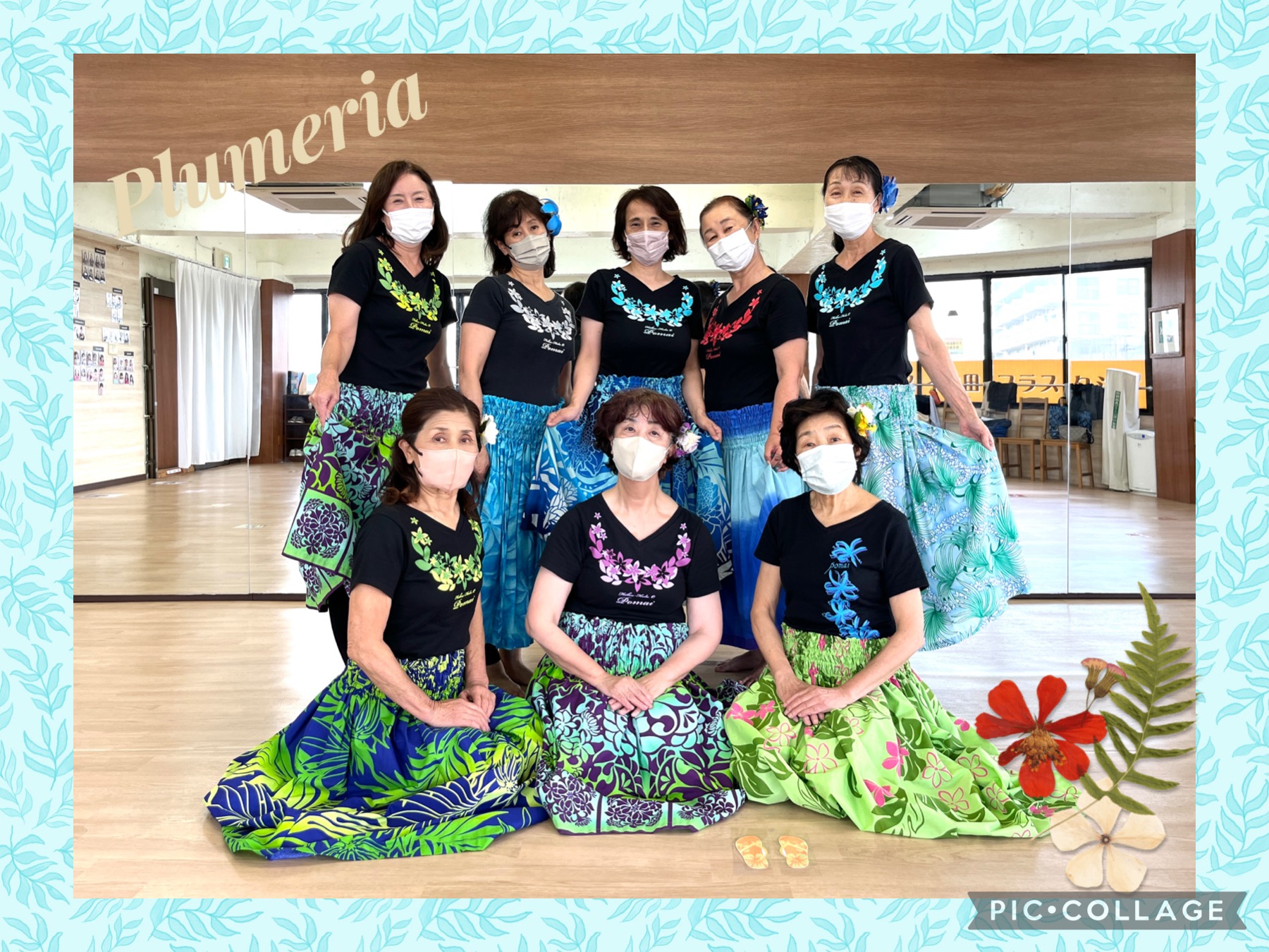 プルメリア♡フラシス