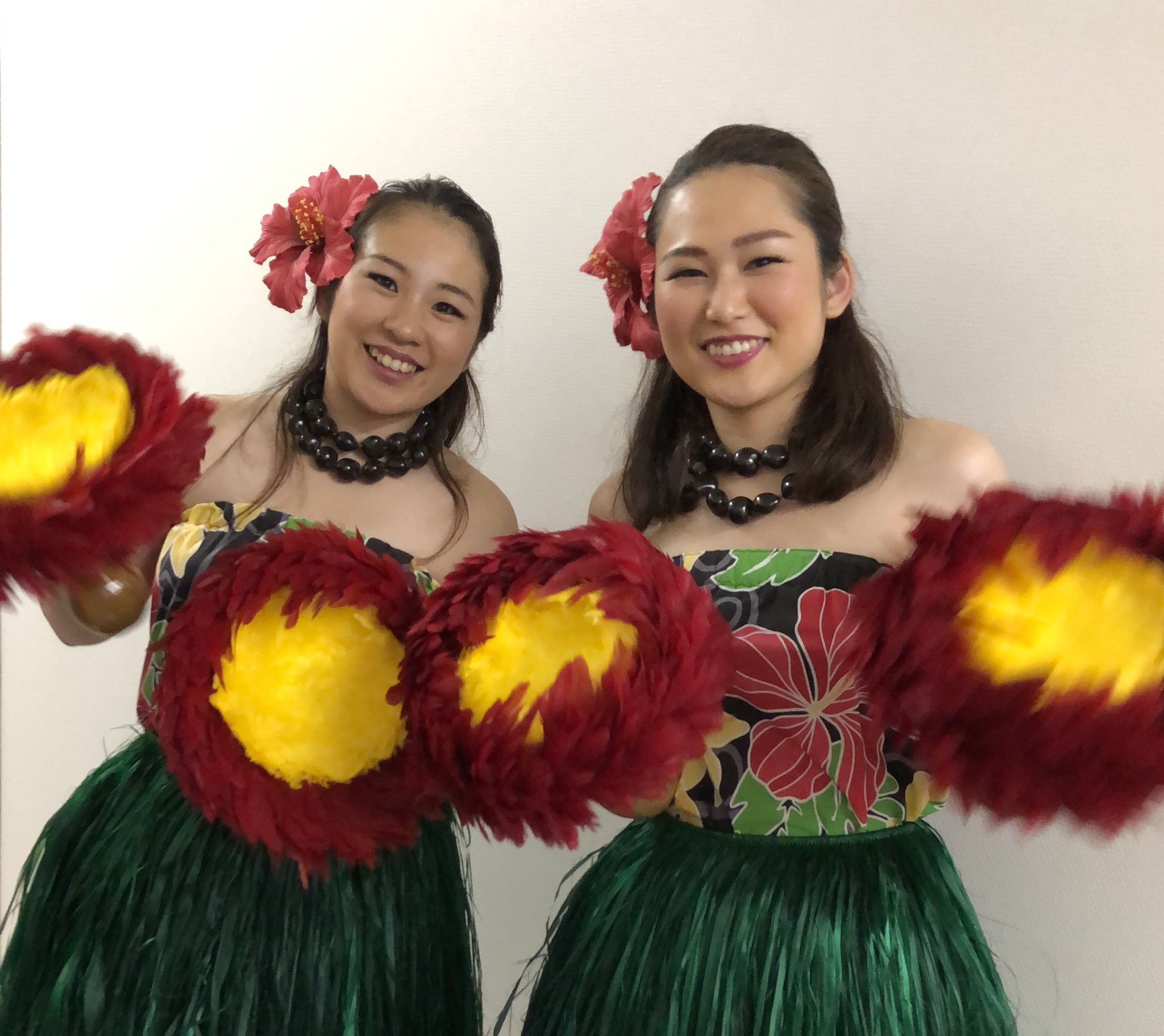 ロコマイカイ☆HOALOHA  FESTIVAL